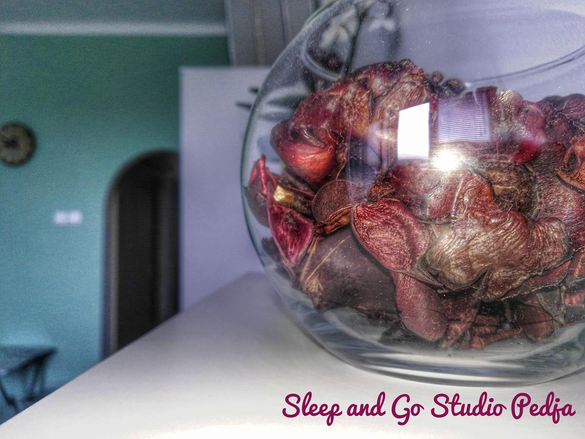 Sleep And Go Pedja Apartment เบลเกรด ภายนอก รูปภาพ