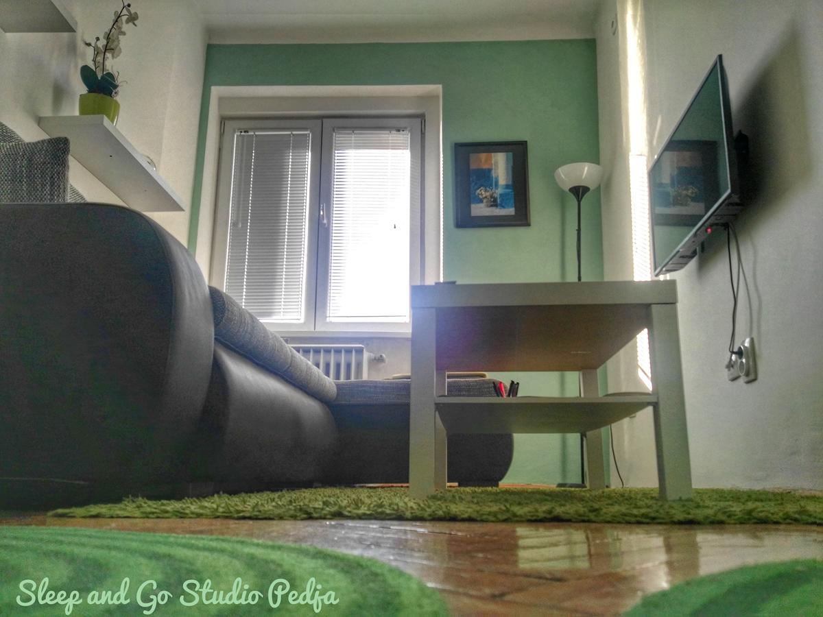 Sleep And Go Pedja Apartment เบลเกรด ภายนอก รูปภาพ