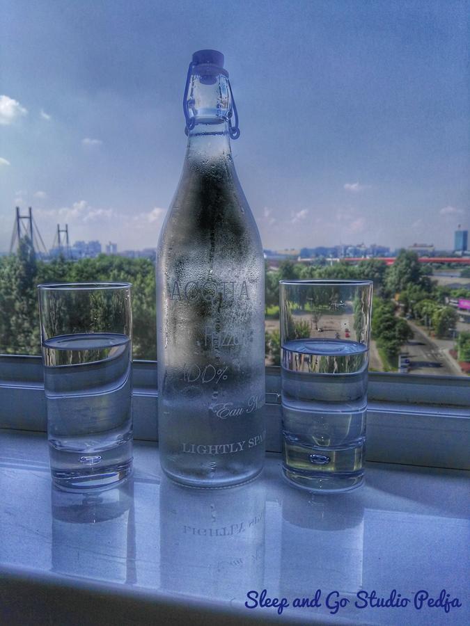 Sleep And Go Pedja Apartment เบลเกรด ภายนอก รูปภาพ